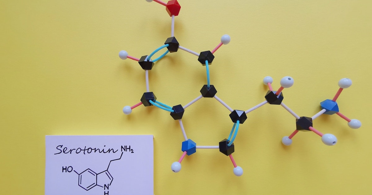 A molecular model structure of serotonin on a yellow background. A white card has a drawing identifying HO, NH2, and NH.